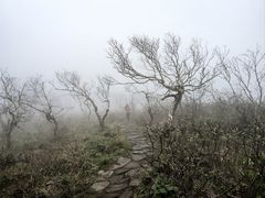 -凤凰山国家森林公园