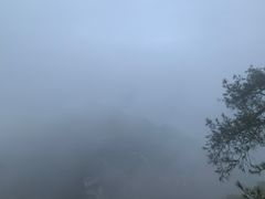 -大金鹰园