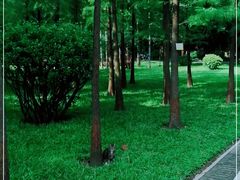 -晓港公园