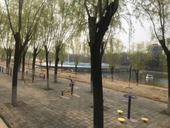 -青龙湖公园