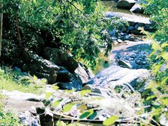 -莫干山风景区