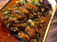 -陈麻婆豆腐(旗舰店)