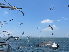 -大连海昌东方水城