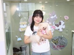 -汪说·狗咖·拼豆·宠物周边DIY(旺城大厦店)
