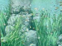 -上海海洋水族馆