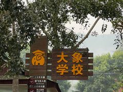 -野象谷景区