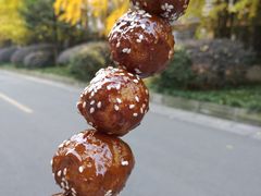 -邓记新一代糖油果子(四川煤管局供销公司职工宿舍店)