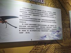 -东莞市科学技术博物馆