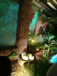 -恐龙探索乐园(磁器口店)