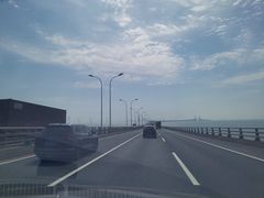 -洋山深水港