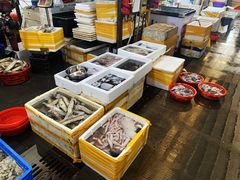 -众彩物流水产市场