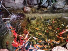 -汇景花园酒家(基立下道店)