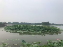 -白洋淀景区
