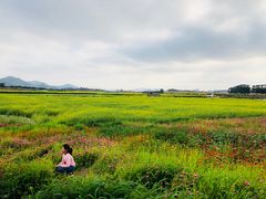 -光明小镇欢乐田园