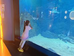 -烟台海昌鲸鲨海洋公园