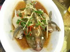 野生石斑清蒸-原龙海鲜大排档(美食地标店)
