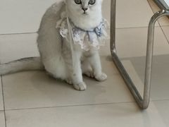 -怪兽屋·羊驼·猫咖·狗咖(俊华广场店)