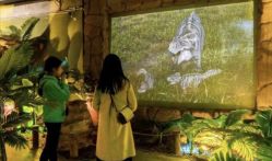 -恐龙探索乐园(磁器口店)