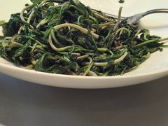 -上海精菜馆(虎踞关店)