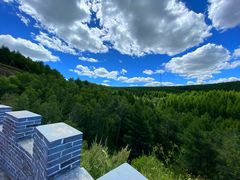 -塞罕坝国家级自然保护区