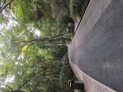 -北极阁公园