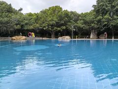 -湖泉半山温泉(湖泉生态园)