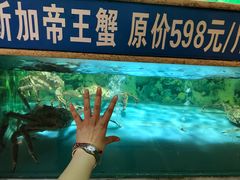 -金龙渔港(双楠店)