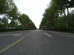 -合肥滨湖国家森林公园