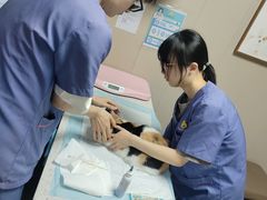 -半岛宠物医院24小时·内窥镜·牙科·碎石中心(府城大道店)