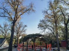 -泰山风景名胜区-普照寺