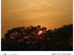 -魏家凉皮(次渠店)