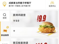 -麦当劳(磨子桥店)