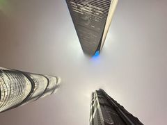 -上海柏悦酒店·大堂客厅