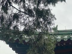 -西安碑林博物馆