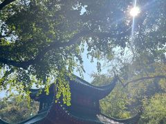 -岳麓山风景名胜区