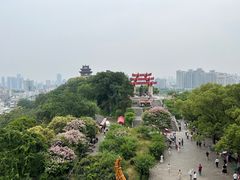 -黄鹤楼公园(黄鹤楼)