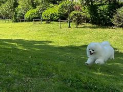 -博特宠物医院24h犬猫全科.骨科·异宠