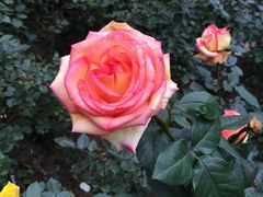 -人民公园(罗湖区)