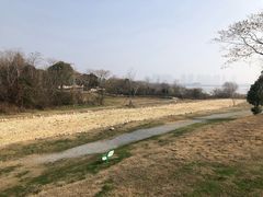 -盘龙城国家考古遗址公园