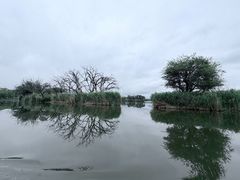 -大理洱源西湖景区