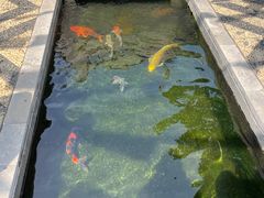 -西安市广仁寺