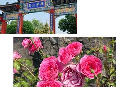 -青岛国学公园