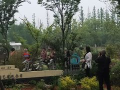 -上海长兴岛郊野公园