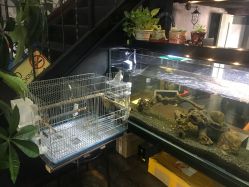 -日月刺青工作室·高端纹身