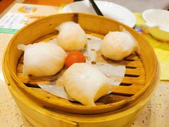 金牌虾饺皇-点都德(千灯湖环宇城店)