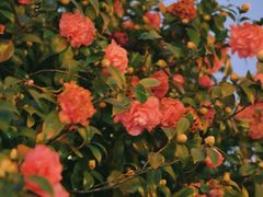 -长沙火车站(地铁站)