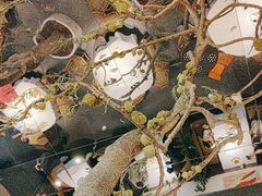 -桂满陇·海市蜃楼·黑金(国金店)