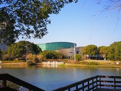 -新江湾城公园