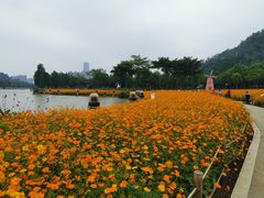 -顺峰山公园