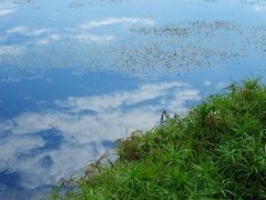 -白鹭湾湿地公园